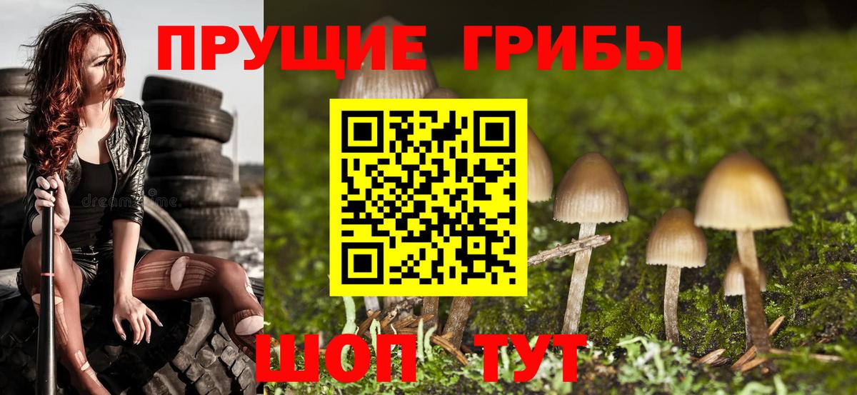 Галлюциногенные грибы Magic Shrooms Ступино